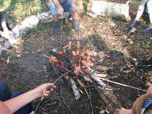 IMG_3727_resize.JPG