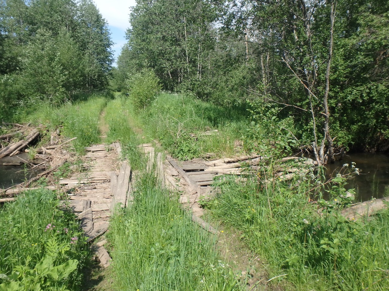 34 sukovo.jpg