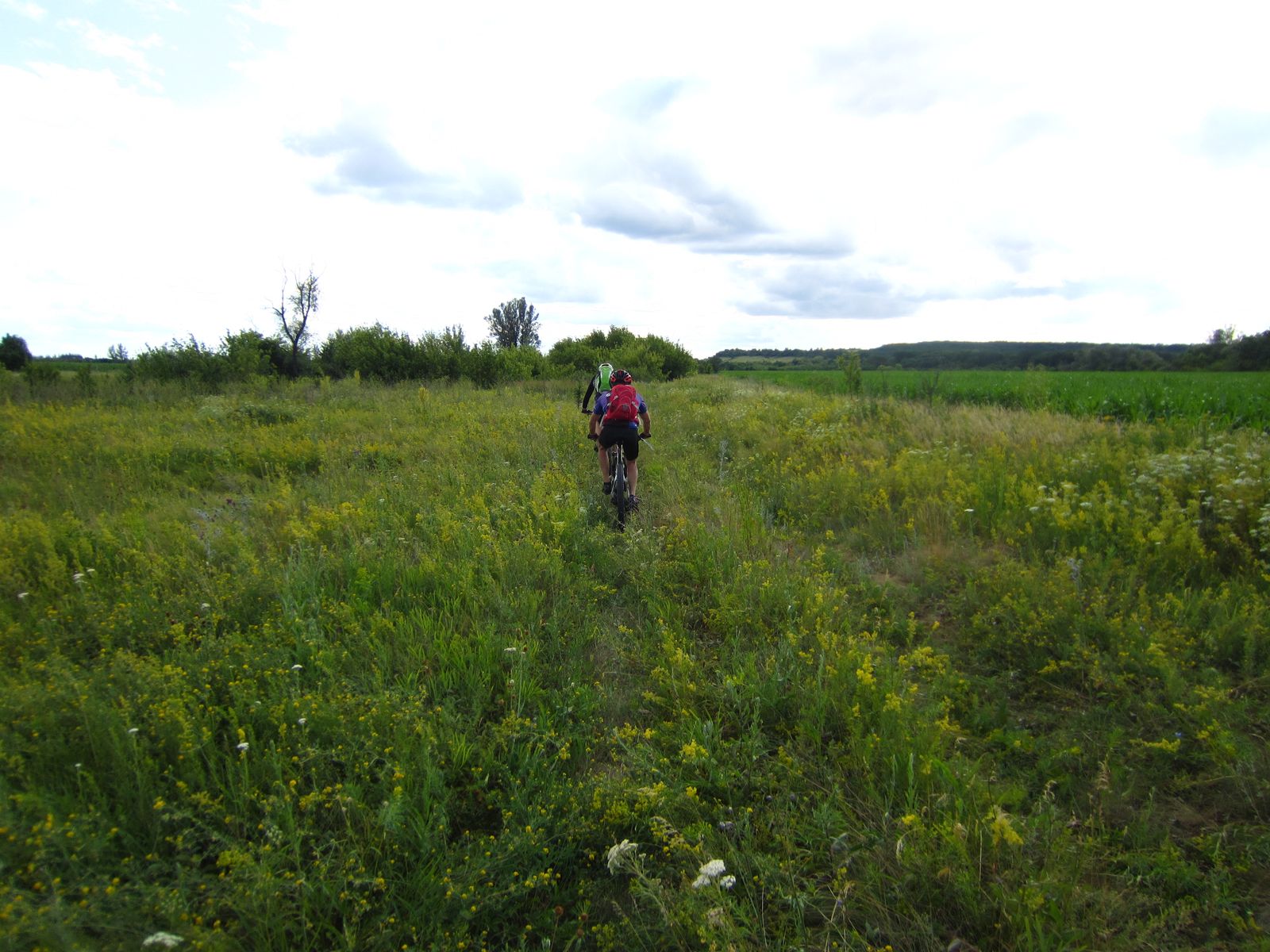 2019_06_29 16-45-26 IMG_1923.jpg