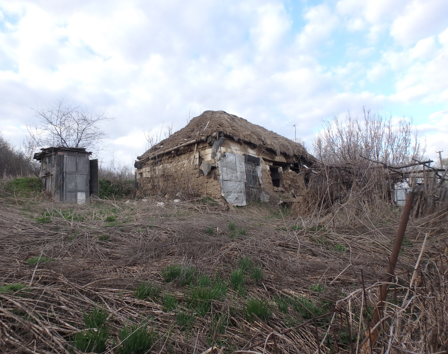 Файл 00004.jpg