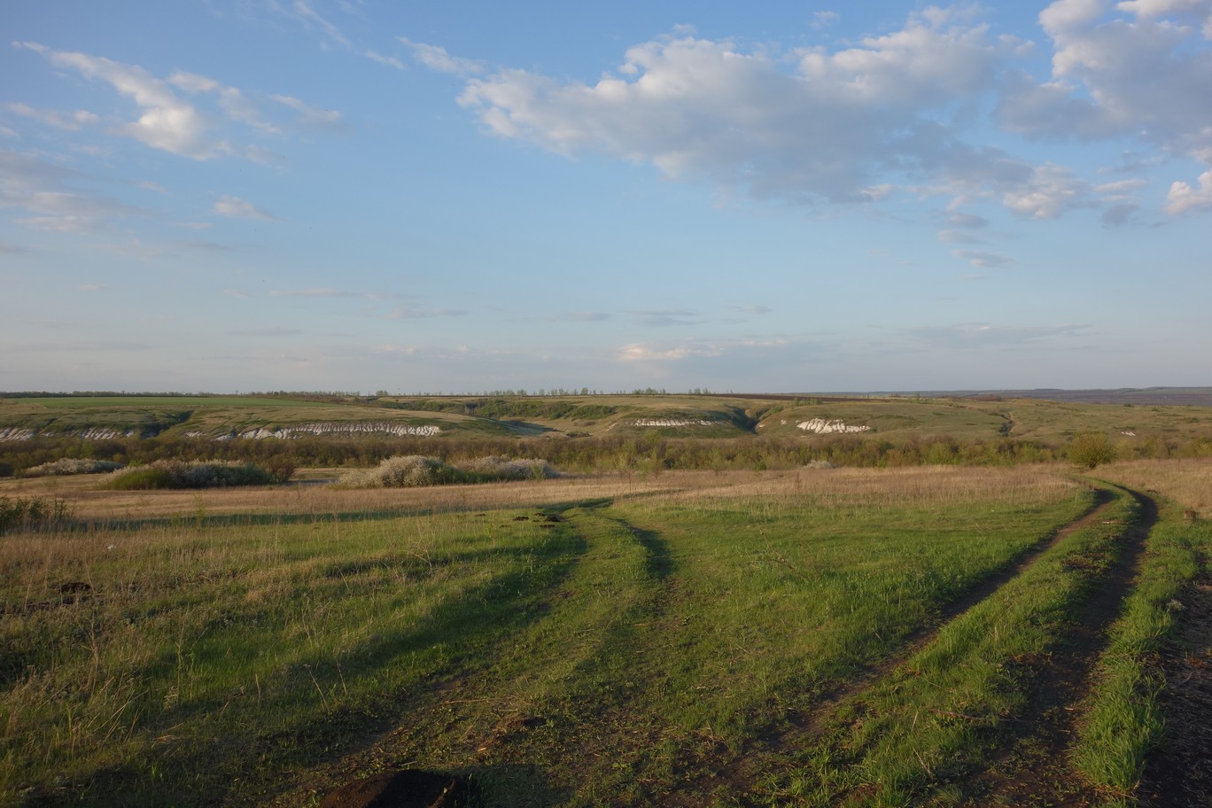 DSC00657.JPG