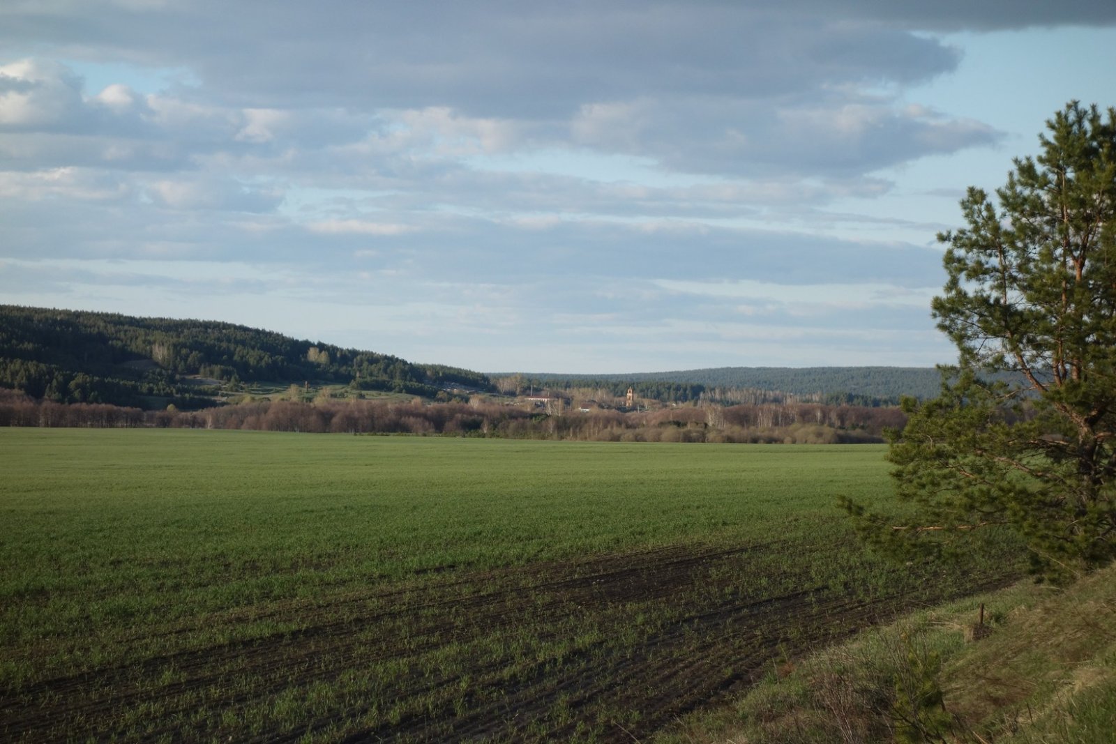 DSC00111.JPG