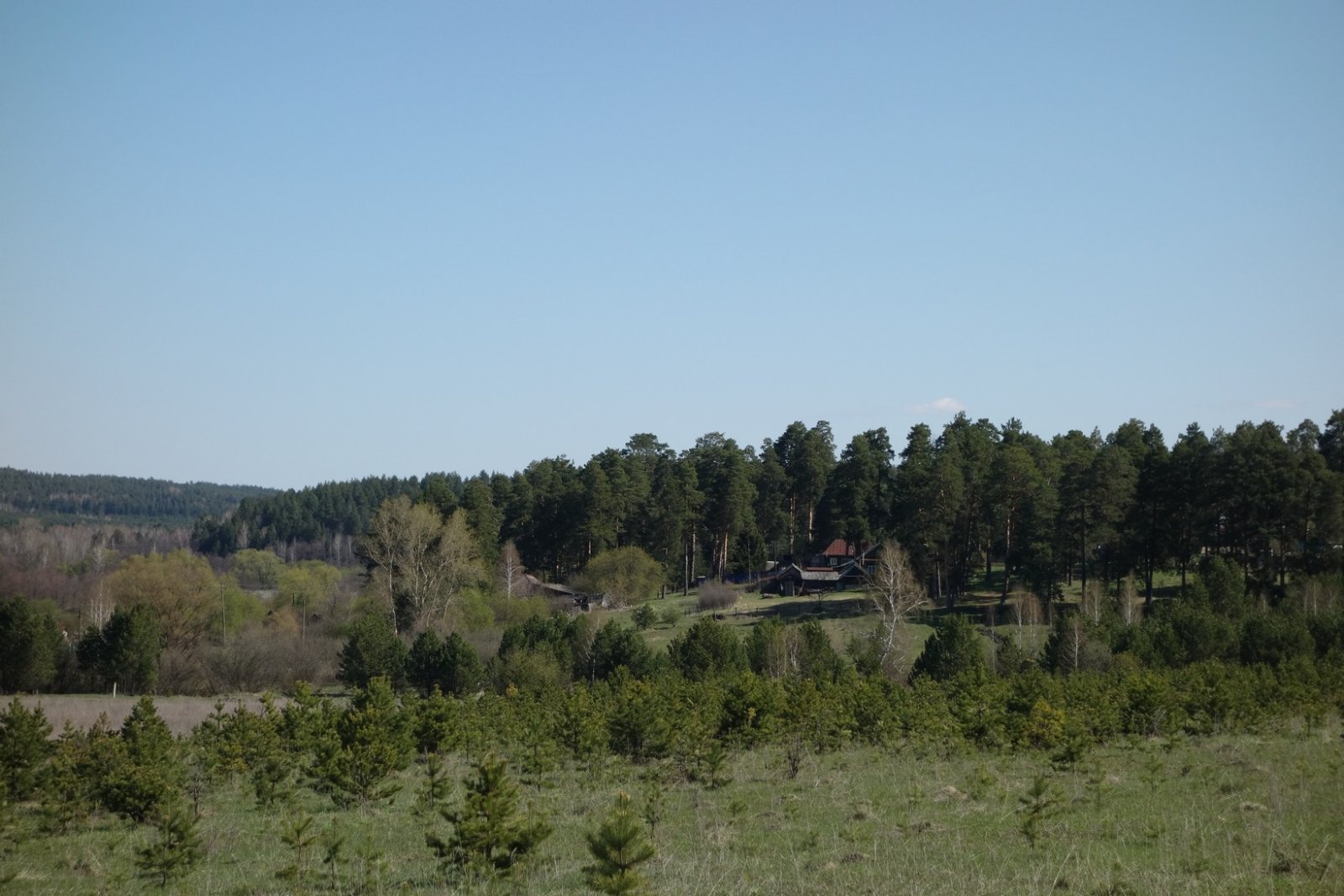 DSC00181.JPG