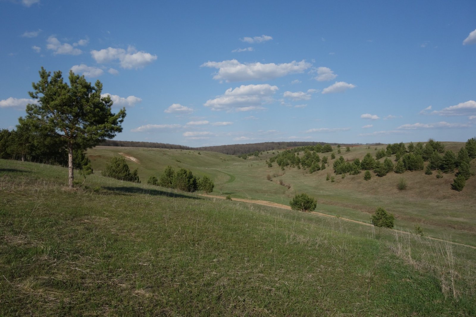 DSC00433.JPG