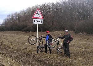 осторожно, ЛОСИ!