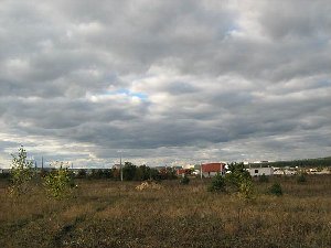 IMG_1029.jpg