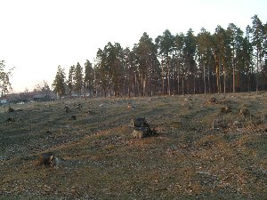 S7300758.jpg