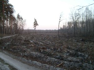 S7300761.jpg