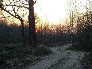 S7300762.jpg