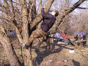 Зов предков