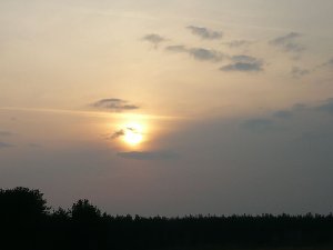 P1000476.jpg
