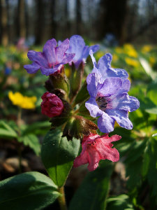 DSC02440.jpg