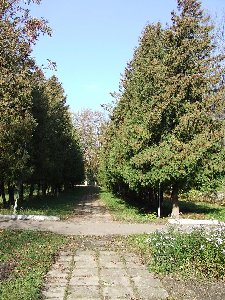 DSCF0016.JPG