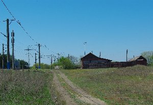 IMGP4952.JPG