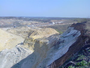IMG367.jpg