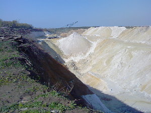 IMG372.jpg