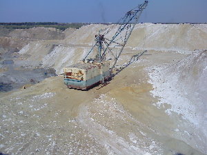 IMG378.jpg