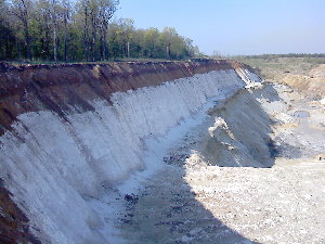 IMG383.jpg