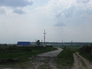 IMG_2445.JPG