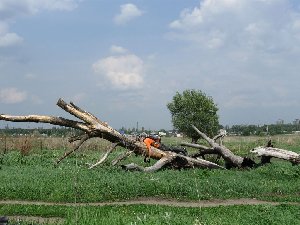 IMG_2448.JPG