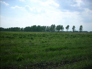Ветер
