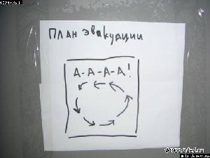 .jpg