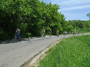 DSCF7064 копия.jpg