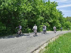 DSCF7066 копия.jpg