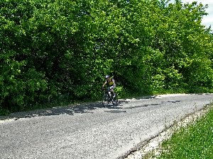 DSCF7068 копия.jpg