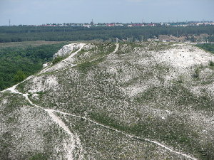 На самый верх