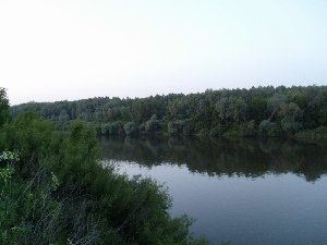 S7301356.jpg
