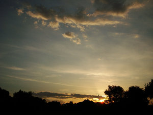 DSC02731.jpg
