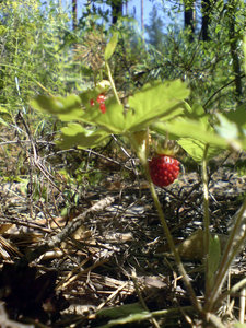 DSC01502.JPG
