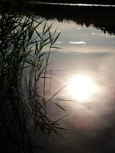 Солнце в воде