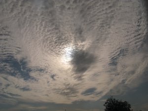 IMG_0328.JPG