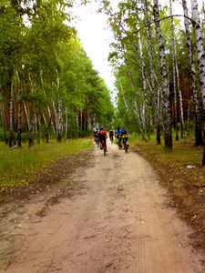 DSC00340.jpg