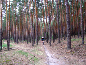 IMG_1237.jpg