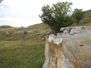 Тишь и красота