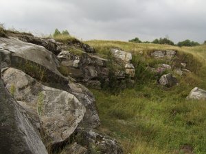 ALSeeEdit_STA73412.jpg