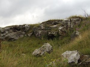 ALSeeEdit_STA73408.jpg