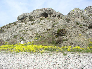 P4290043.JPG